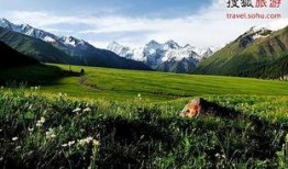 新疆伊犁爆料者是谁啊视频,背后故事引关注