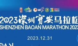 宝安区新闻爆料热线,见证城市脉搏，倾听民声心声