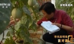 51免费吃瓜最新事件丈夫砍老婆,丈夫残忍砍伤妻子，真相令人震惊