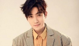 最新爆料成毅是哪一期,揭秘神秘新节目哪一期