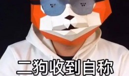 网红爆料嘎子哥视频,网红爆料揭秘幕后故事