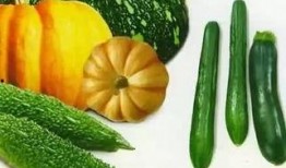 一棵树吃瓜视频大全免费观看,免费畅享欢乐时光