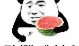 娱乐吃瓜酱你相信爱情吗,探寻爱情信仰的真相