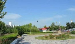 甘棠公园爆料视频,公园美景与趣事一网打尽