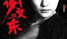 谢文东全集在线观看,黑道风云录