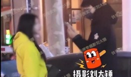 刘大锤爆料夜色视频在线观看,夜色视频在线观看，揭秘幕后真相