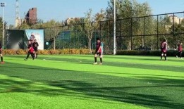 央视爆料足球比赛视频网,足球比赛视频网站黑幕曝光