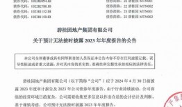 碧桂园爆料最新公告消息,揭秘战略调整与未来发展动向