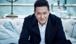 元芳爆料张嘉译视频全集,张嘉译视频全集揭秘，精彩瞬间一网打尽