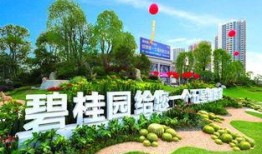 南康碧桂园爆料最新消息,揭秘项目进展与未来规划