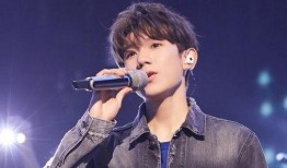 女主播爆料王源视频,真相究竟如何？