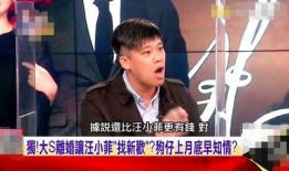 汪小菲各种爆料视频大全,揭秘娱乐圈背后的真相