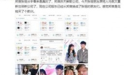 张恒最新爆料截图视频大全,揭秘事件全貌，视频截图揭露惊人真相