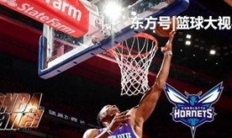 黄蜂爆料乔丹了吗视频播放,揭秘篮球传奇背后的惊人真相