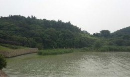 苏州西山爆料事件视频,视频揭露惊人真相