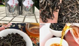 网红大红袍爆料视频,视频内容深度解析