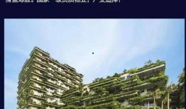 碧桂园爆料最新公告消息,揭秘战略调整与未来发展动向