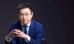 央视新闻爆料陈少杰,真相与影响深度解析