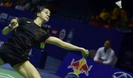 羽毛球明星爆料视频在线观看,揭秘赛场背后的故事