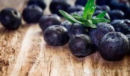 蓝莓被爆料视频真实,揭秘真实种植与采摘过程