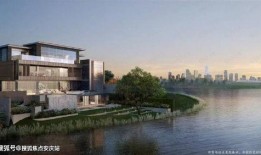 安澜的最新爆料,揭秘娱乐圈幕后真相