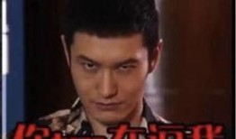 全娱乐爆料史,揭秘娱乐圈背后的真相与风云变幻