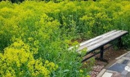 甘棠公园爆料视频,公园美景与趣事一网打尽